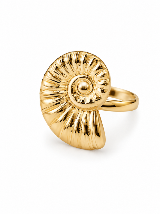 Anillos de acero